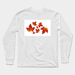 Fall Leaves - Algonquin Park, Canada Long Sleeve T-Shirt